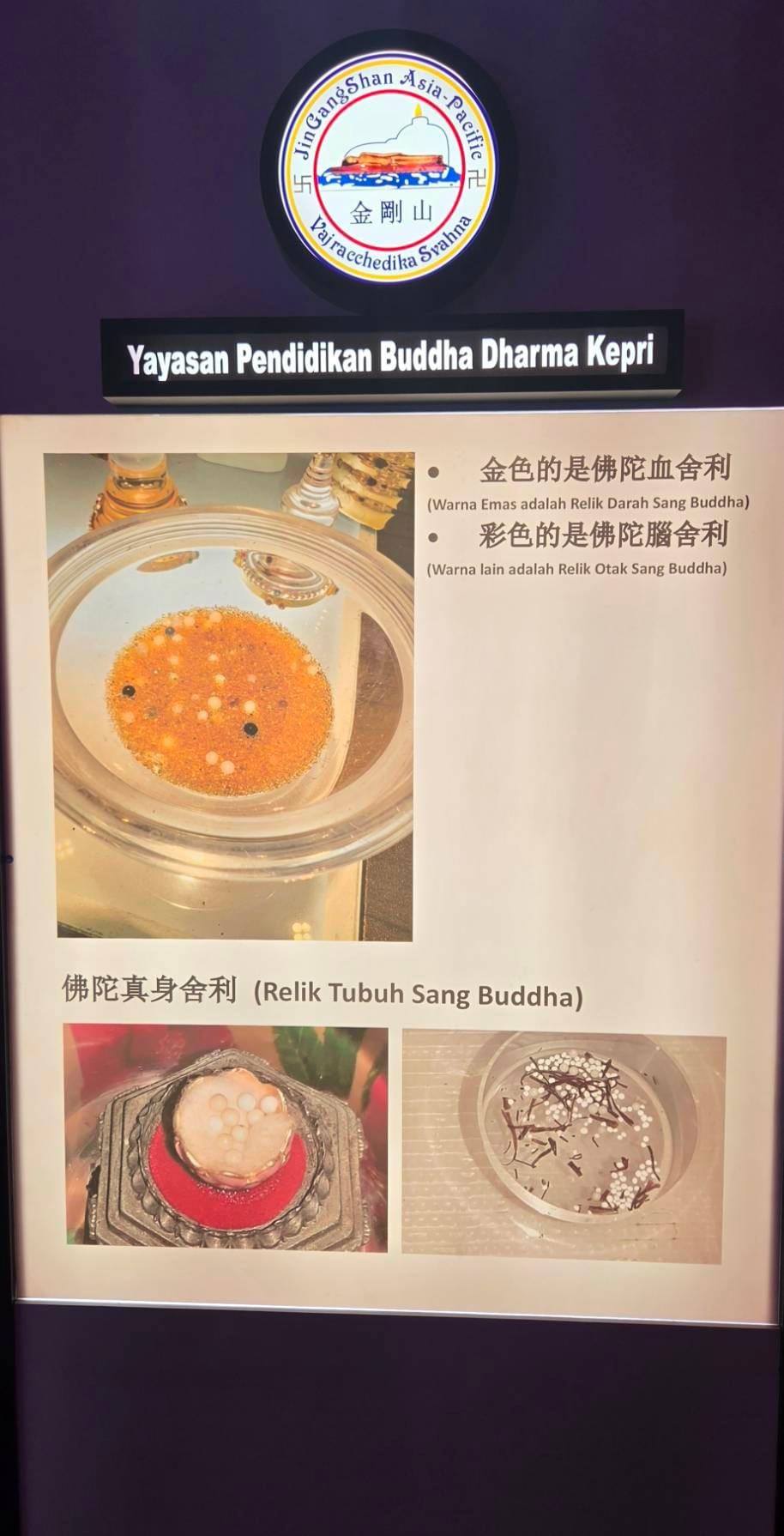 活動照片